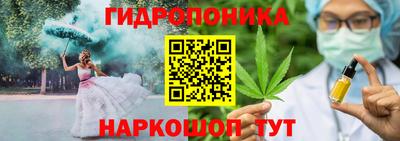 метадон Новодвинск