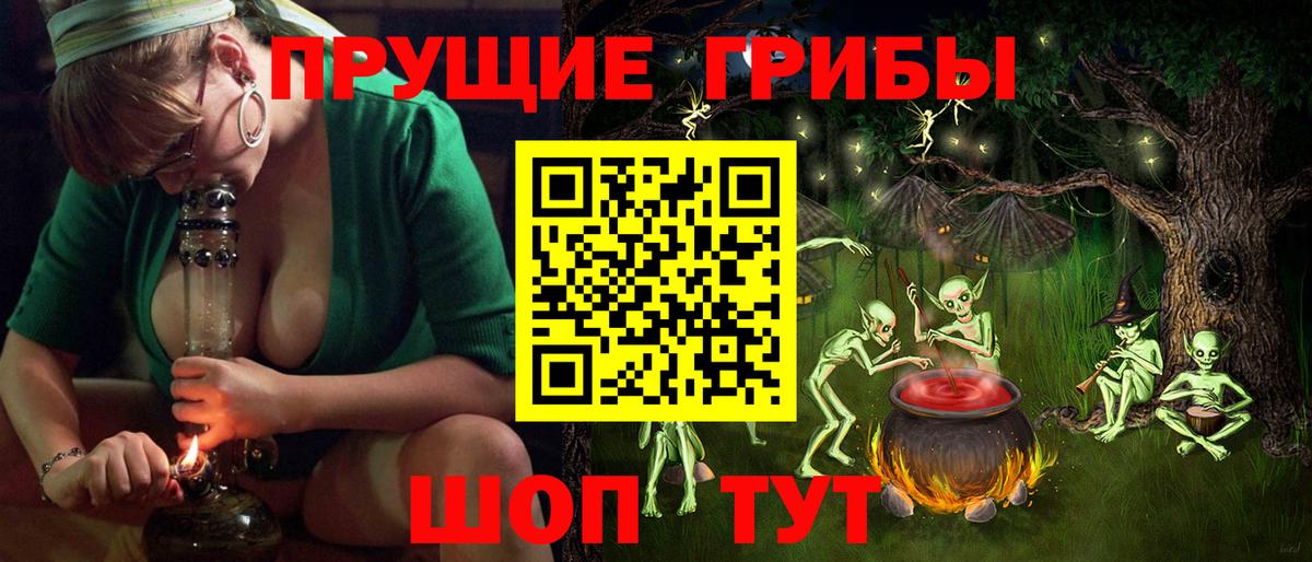 Галлюциногенные грибы Cubensis Торжок